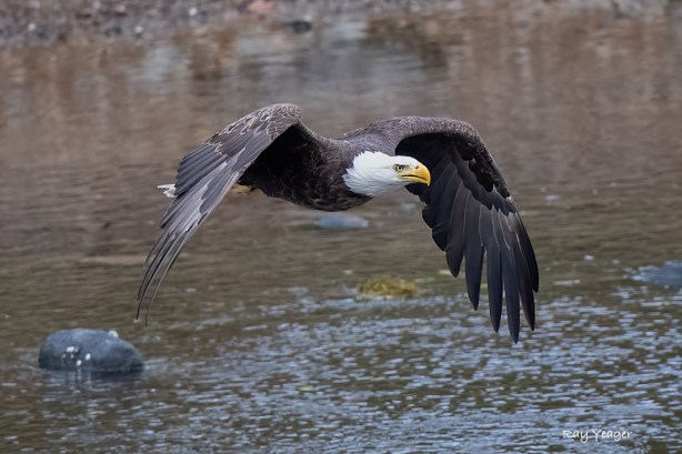 1 1-ND5_2405a1mLT1100