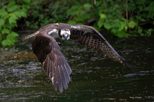 10 3z-D4S_0715a1c1TL1500