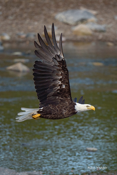 4 11-D4S_1787a1mLc2700