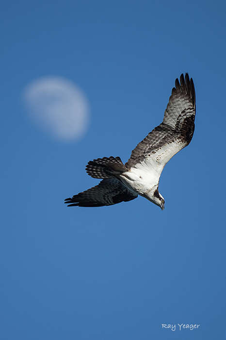 7z 3-D4S_0328a1c1900