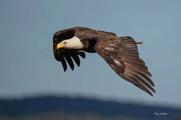 8 5z-ND5_3806a1mLx1500