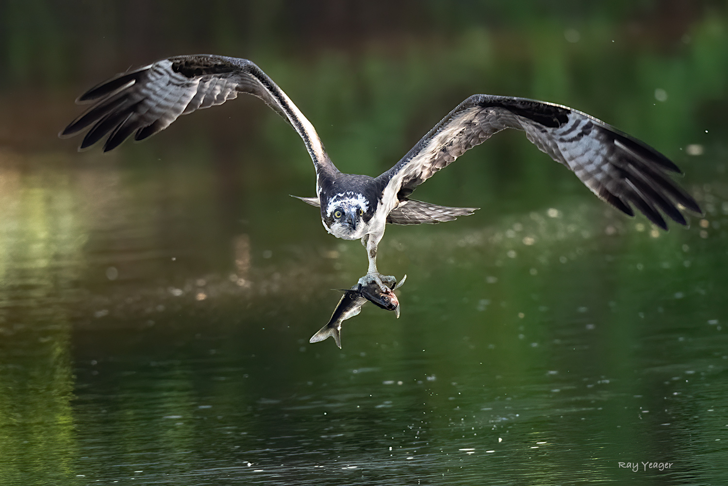 9 5-ND5_3590a1mLTx1500