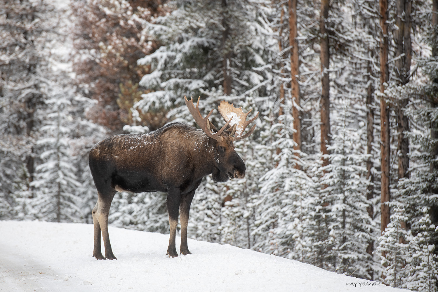 11 9 DSC_1548a1S1500