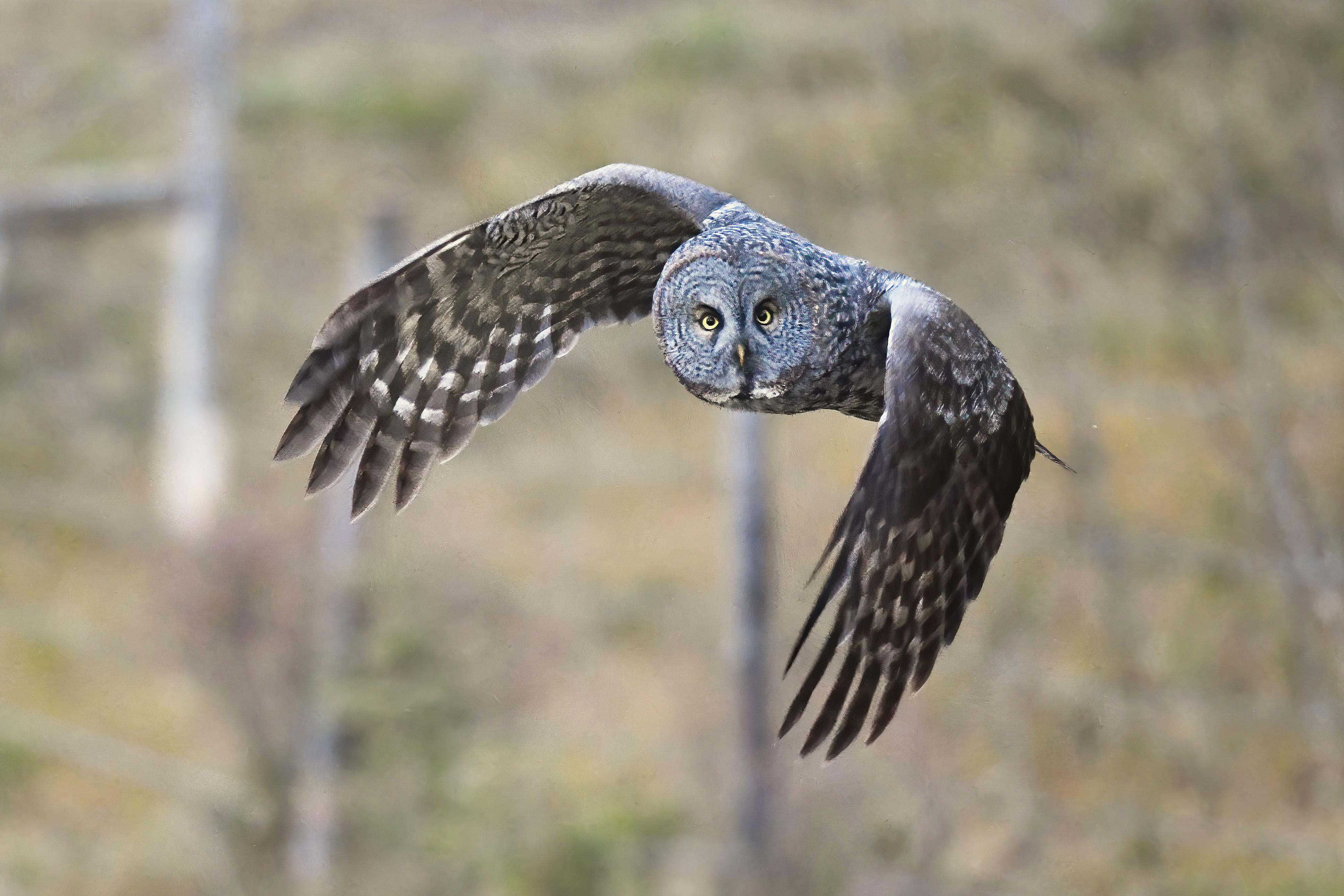 14 1324 DSC_4248a1LST5