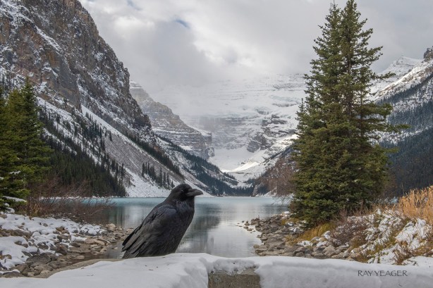 16 1z DSC_0274a1LSx1100